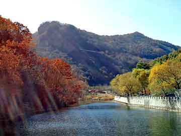 管家婆黑白马报图库，cfo培训